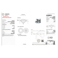 Load image into Gallery viewer, c66084998a595928b2f9d5793f7eab59
