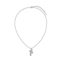 Load image into Gallery viewer, Black and White CZ Snake Necklace