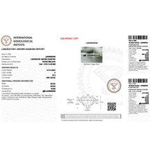 Load image into Gallery viewer, d9662f7568c7d20bcb9641dee8bf2590