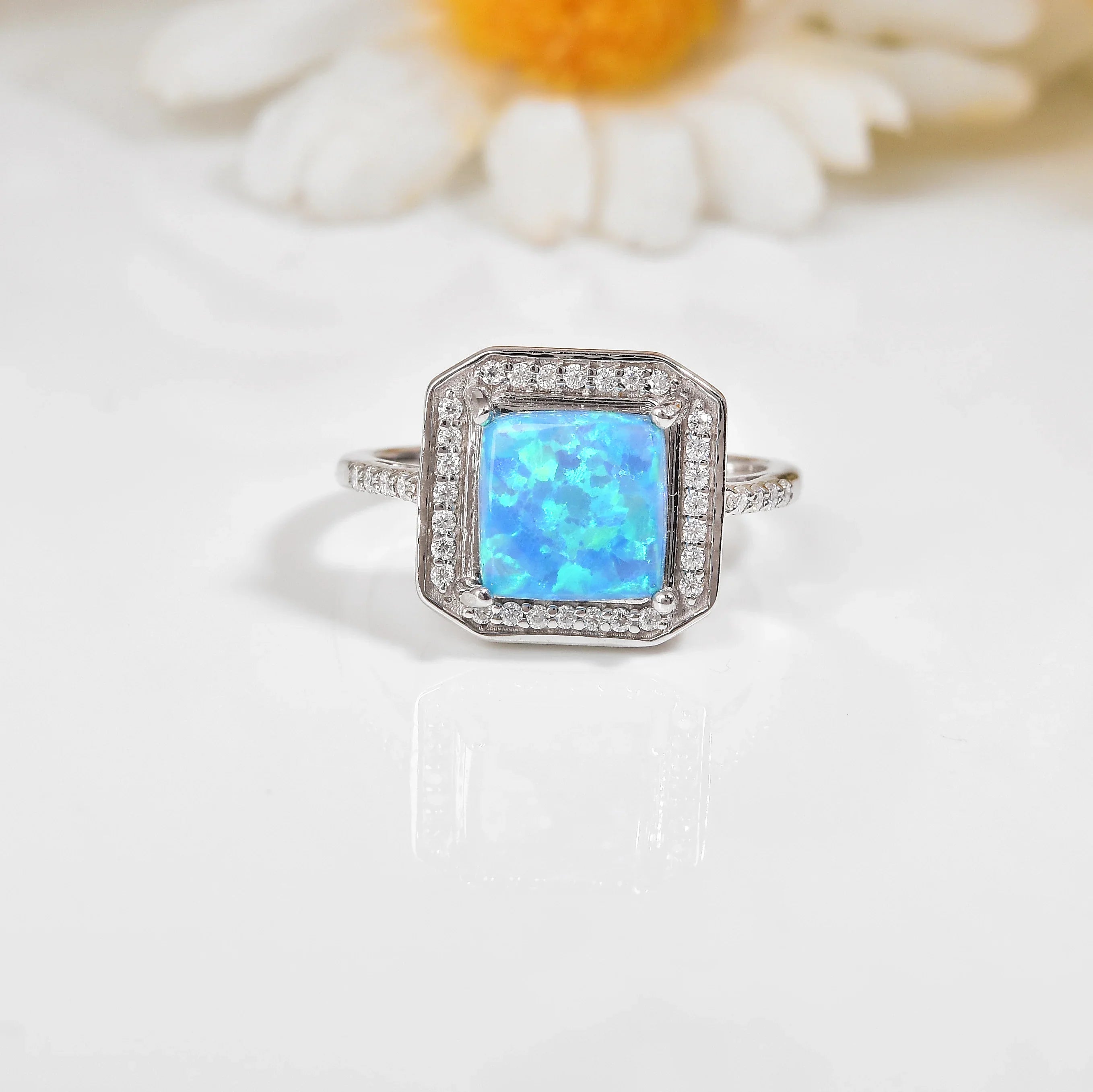 e10da9256b1ee48c0bc8c80ee2e02457