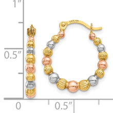 Load image into Gallery viewer, 14K Gold Shrimp Beaded Hoop Earrings