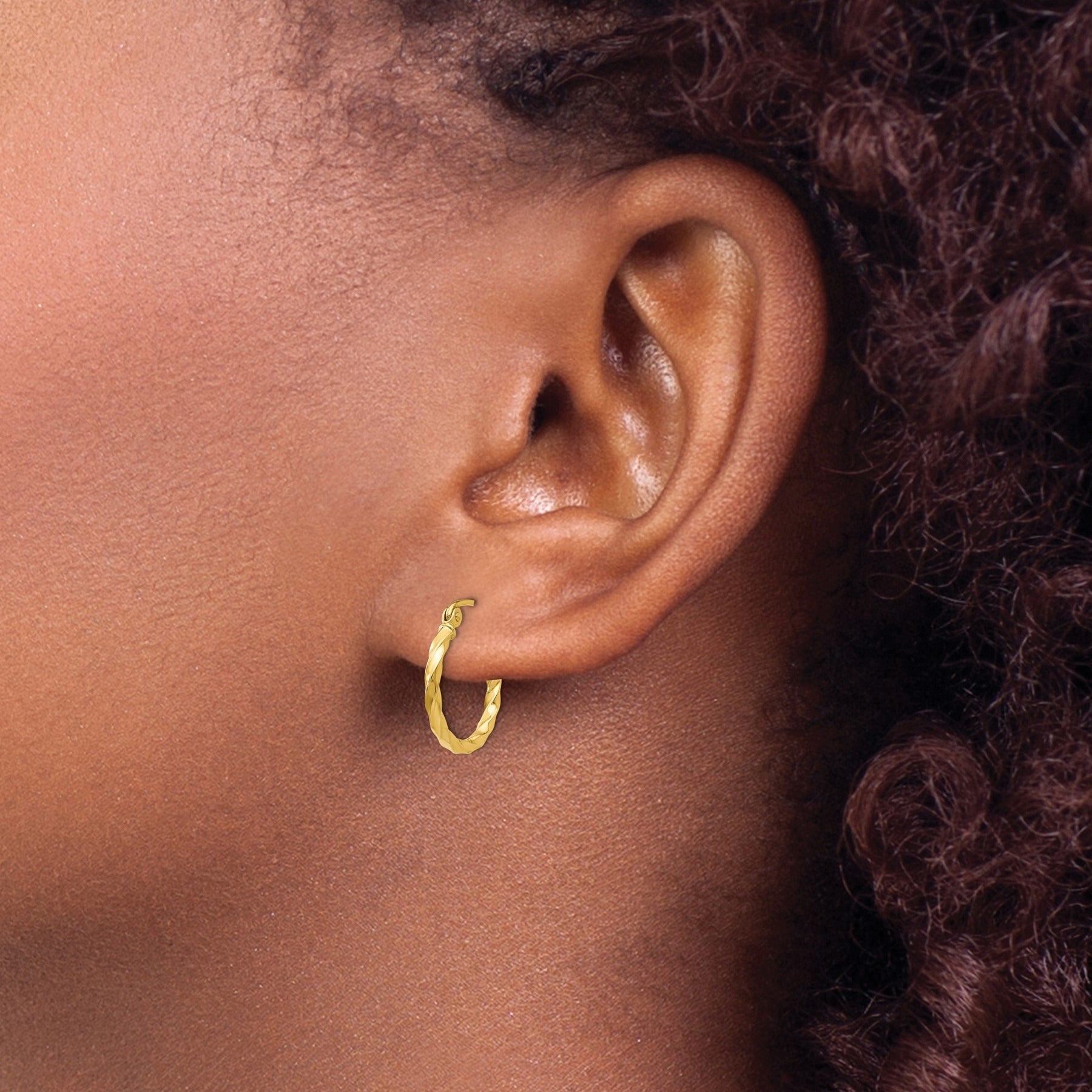 Twisted 14k Gold Hoops Earrings