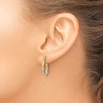 14K Gold Twisted Colored Hoop Earrings